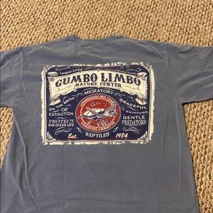 Light blue turtle comfort colors Shirt